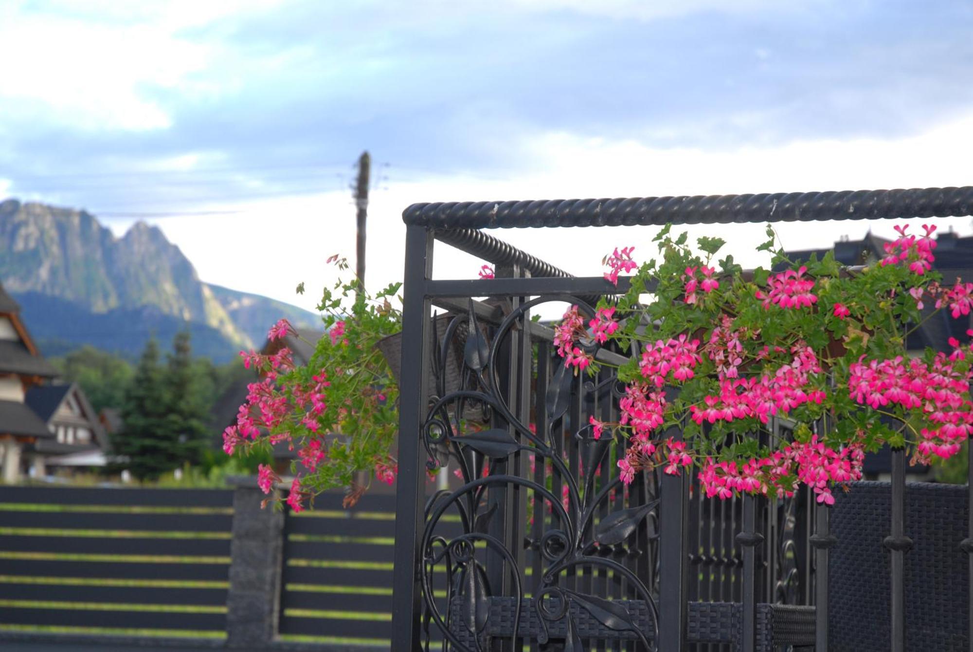 "Czarna Turnia "Zakopane Exterior foto
