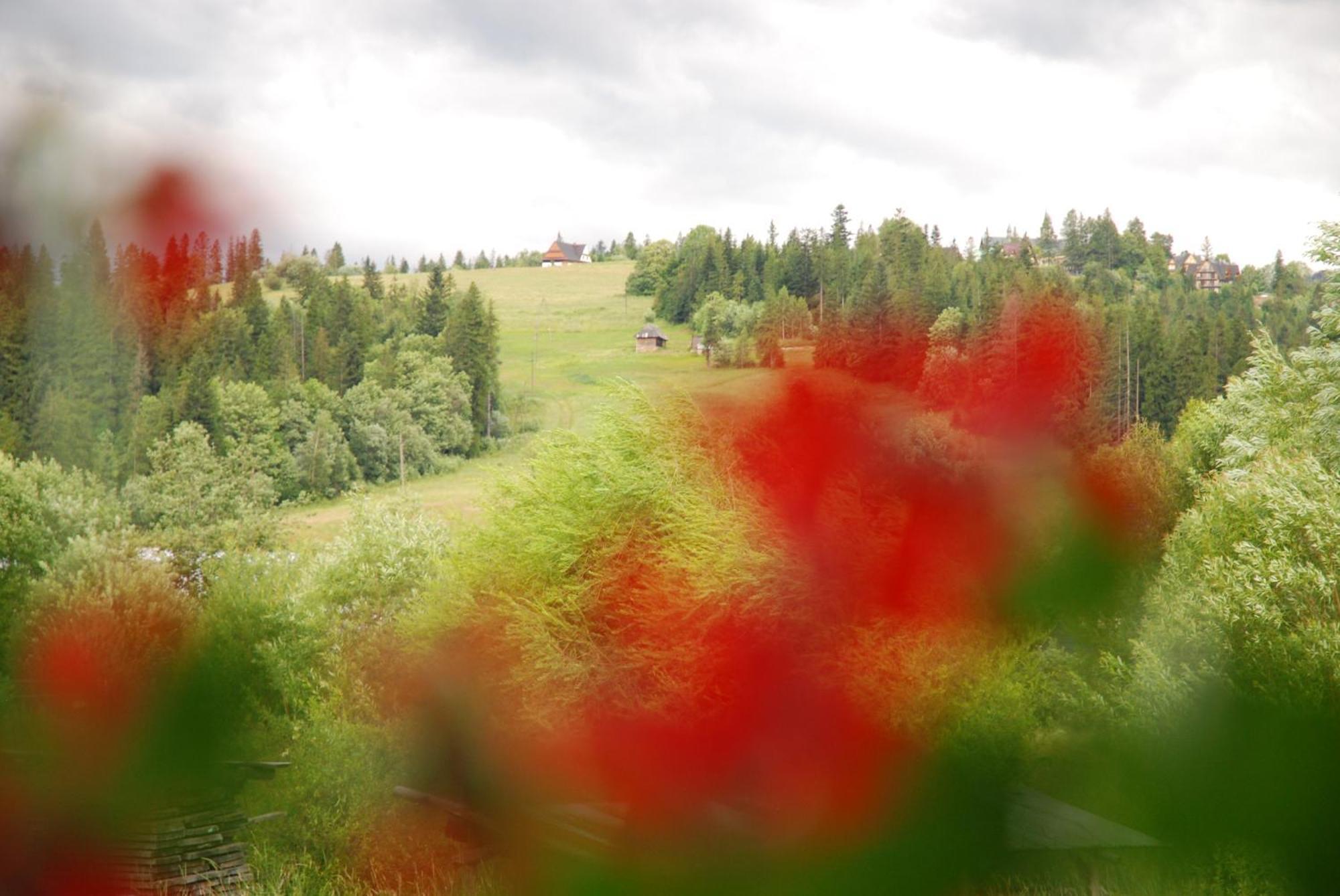 "Czarna Turnia "Zakopane Exterior foto